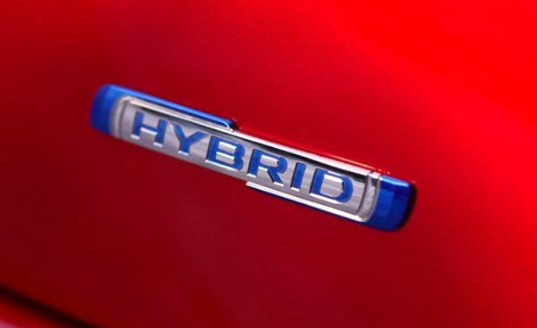 Hybrid oder nicht Hybrid? Das ist hier die Frage